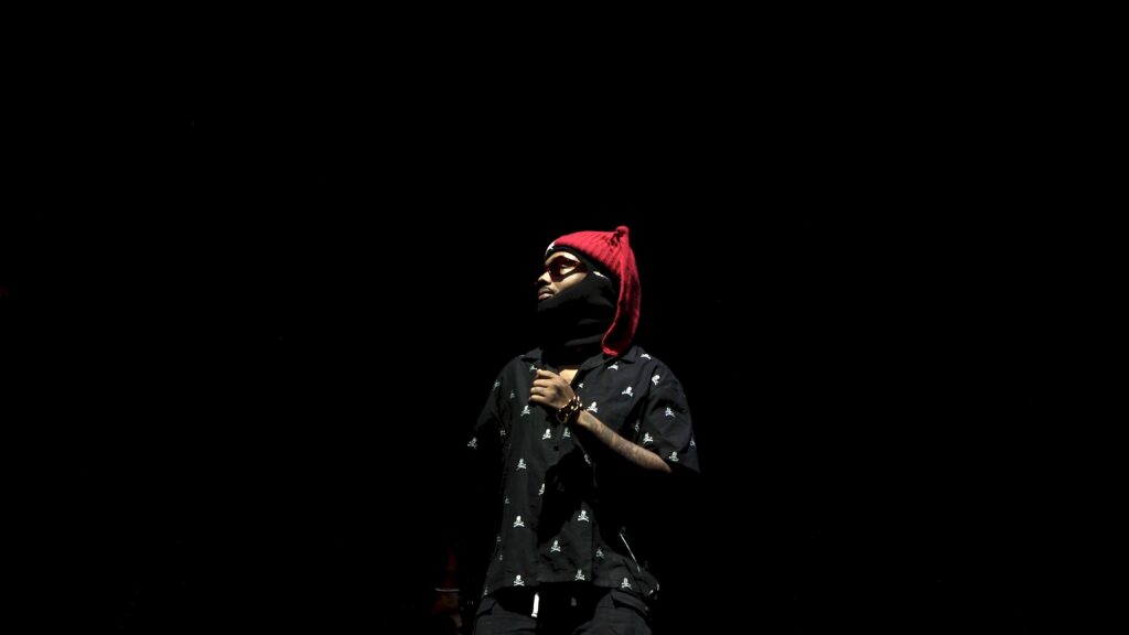 Members of EARTHGANG on stage at the Gorillaz Concert.
